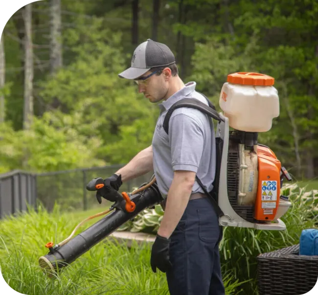 mosquito control, misting property