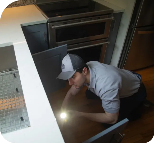 service technician inspecting kitchen