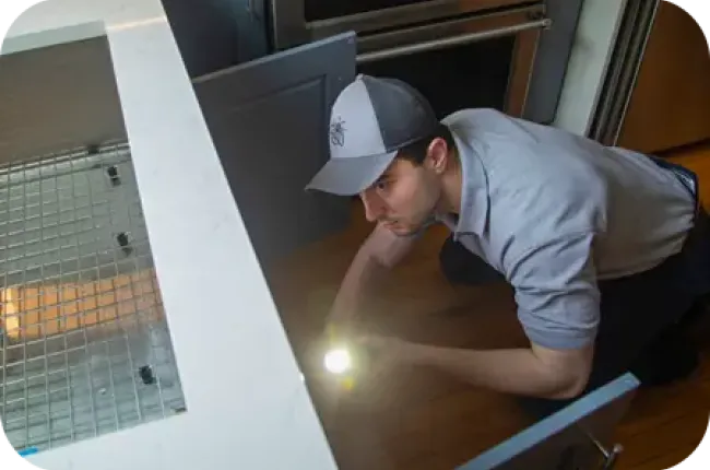 technician inspecting kitchen