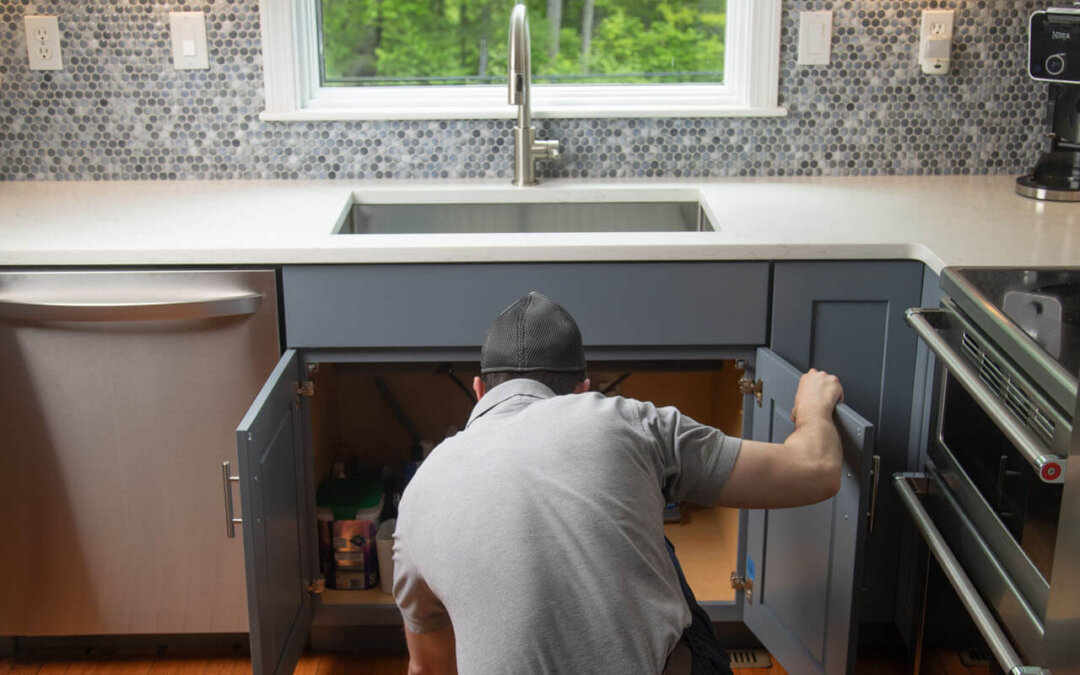 Pest Infestations: The Hidden Threat to Healthy Homes and Workplaces