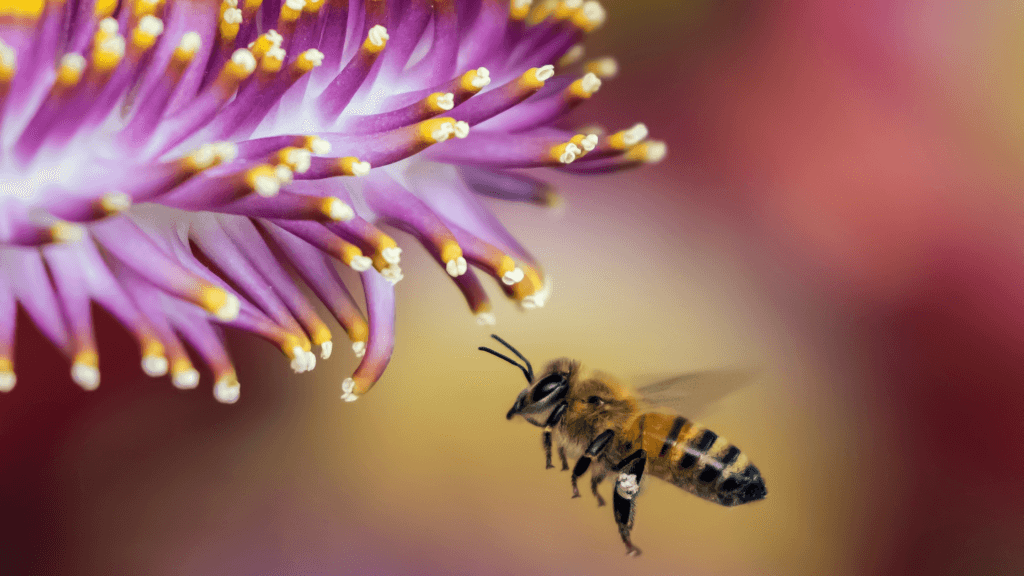 Creating A Hospitable Yard for Pollinators: A Guide to Supporting Nature’s Essential Workers